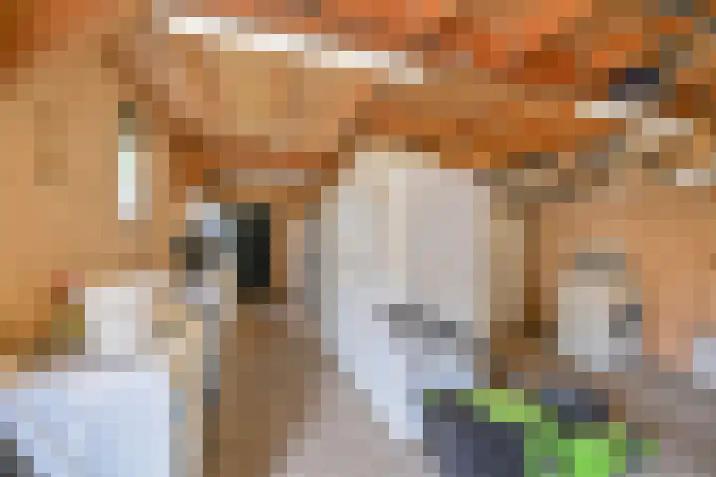 Markeweg 154 Ter Apel thumbnail 77