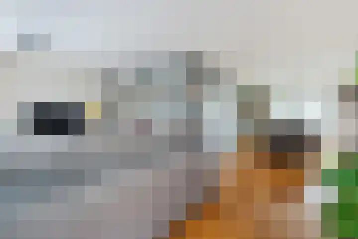 Markeweg 169 Ter Apel thumbnail 14