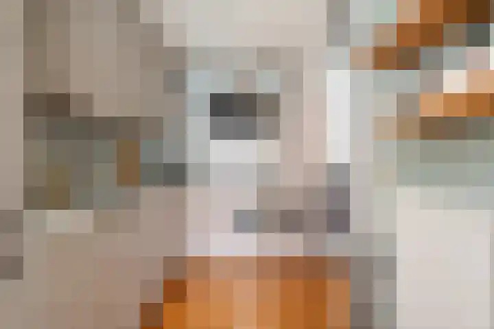 Markeweg 169 Ter Apel thumbnail 18