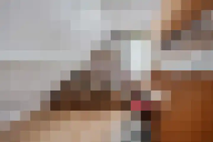 Markeweg 169 Ter Apel thumbnail 30