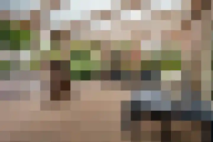 Markeweg 169 Ter Apel thumbnail 36