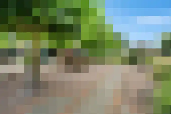 Markeweg 169 Ter Apel thumbnail 38