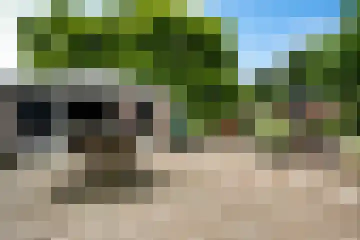 Markeweg 169 Ter Apel thumbnail 39