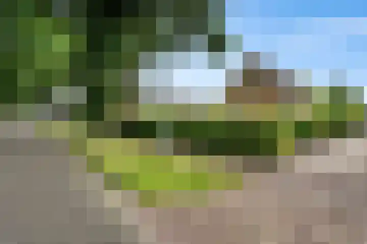 Markeweg 169 Ter Apel thumbnail 4
