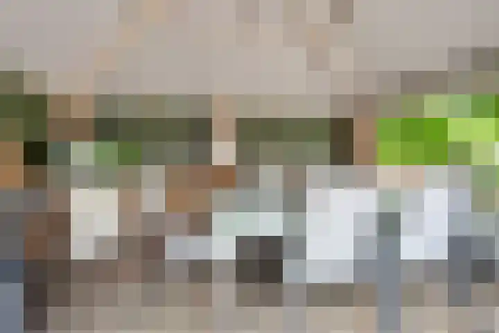 Markeweg 169 Ter Apel thumbnail 40