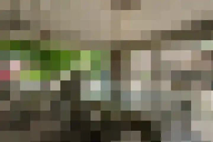 Markeweg 169 Ter Apel thumbnail 41