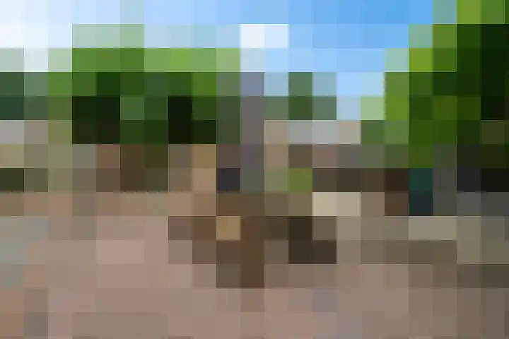 Markeweg 169 Ter Apel thumbnail 42