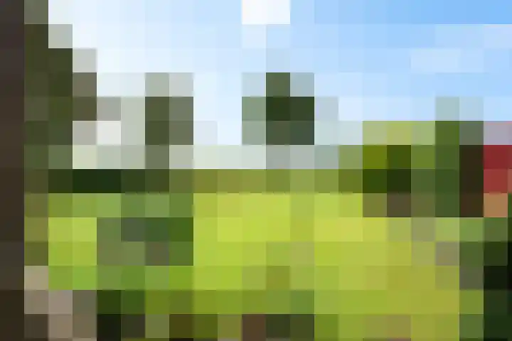 Markeweg 169 Ter Apel thumbnail 44