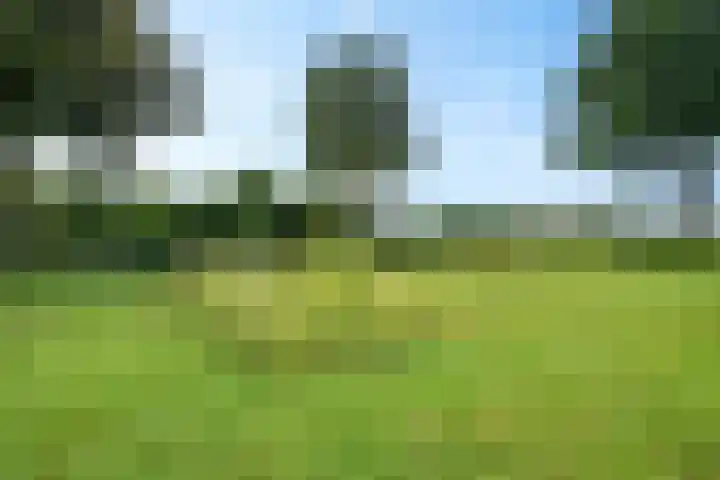 Markeweg 169 Ter Apel thumbnail 45