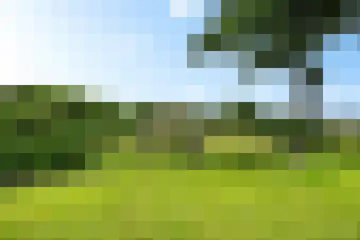 Markeweg 169 Ter Apel thumbnail 46