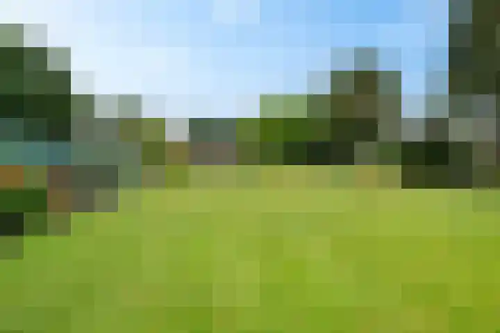 Markeweg 169 Ter Apel thumbnail 47