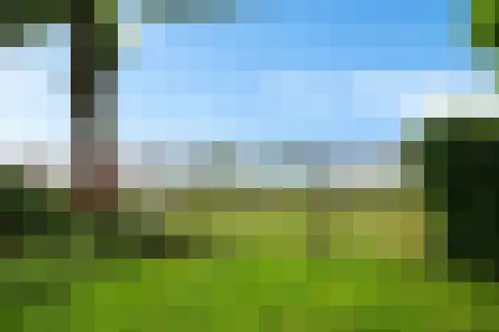 Markeweg 169 Ter Apel thumbnail 48