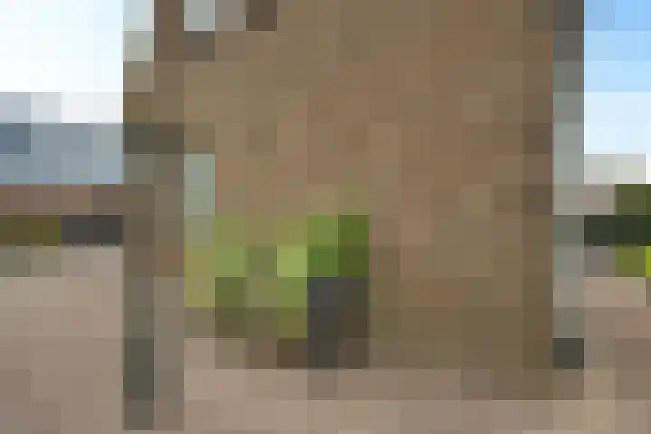 Markeweg 169 Ter Apel thumbnail 49