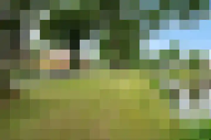 Markeweg 169 Ter Apel thumbnail 5