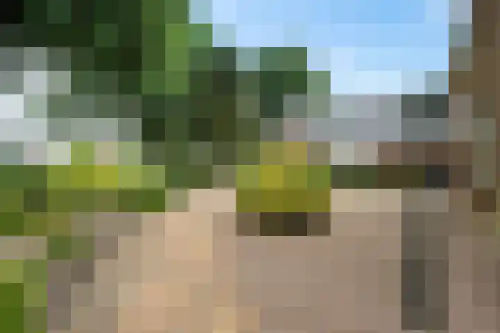 Markeweg 169 Ter Apel thumbnail 50