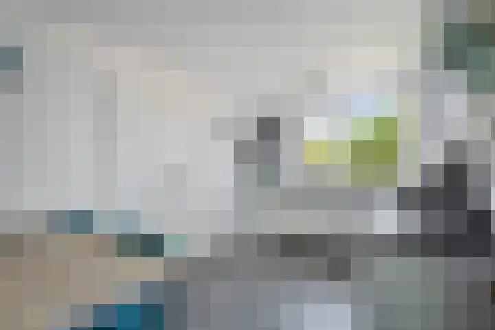 Markeweg 171 Ter Apel thumbnail 12