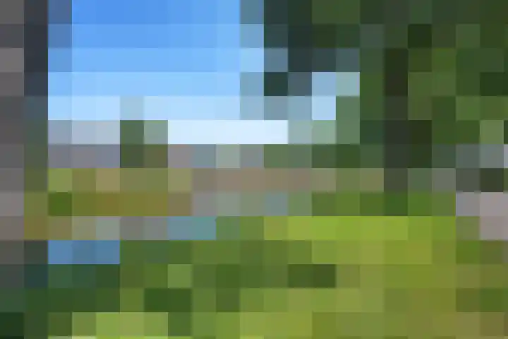 Markeweg 171 Ter Apel thumbnail 4