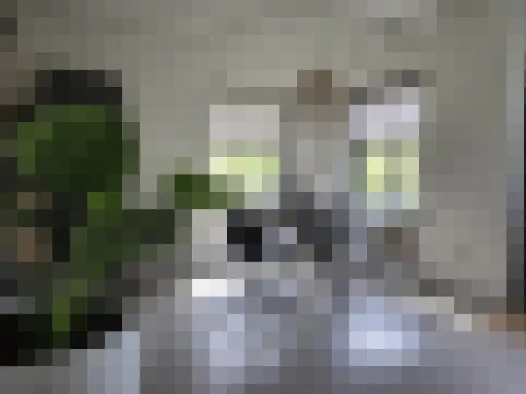 Markeweg 20 Dalfsen thumbnail 4