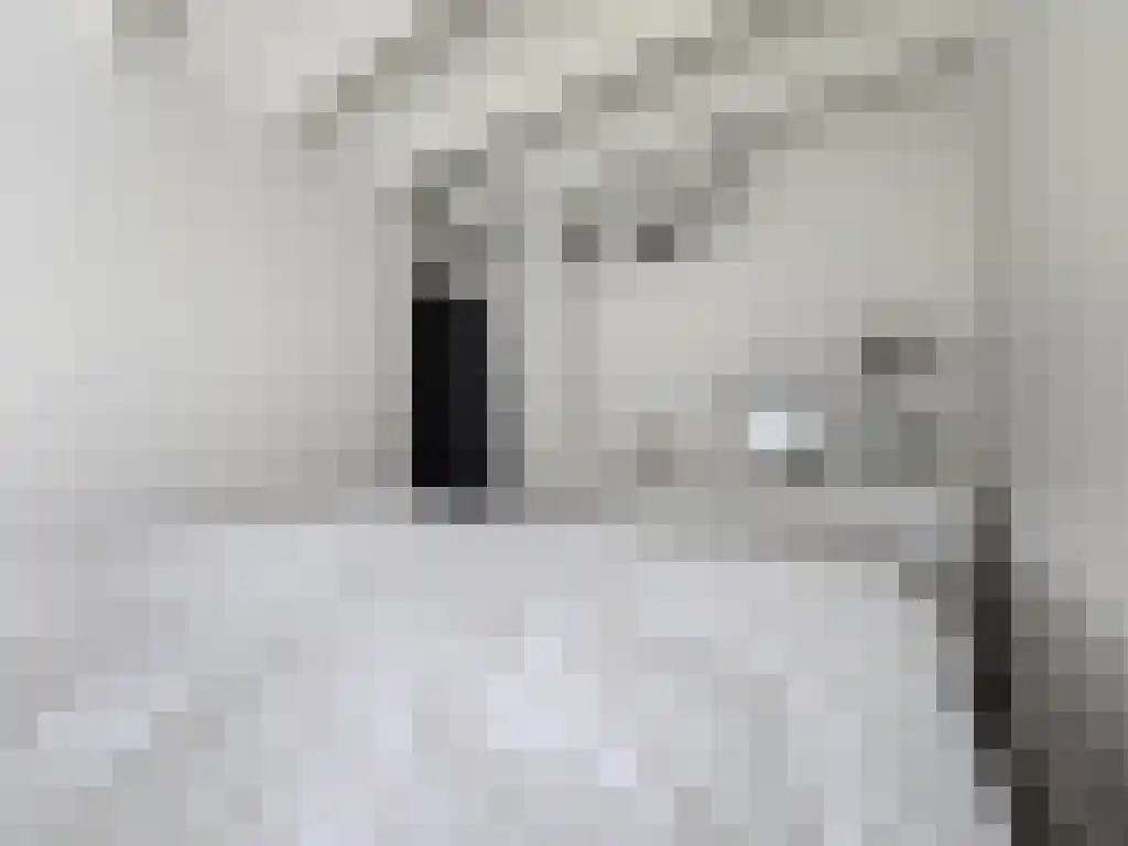 Markeweg 20 Dalfsen thumbnail 6