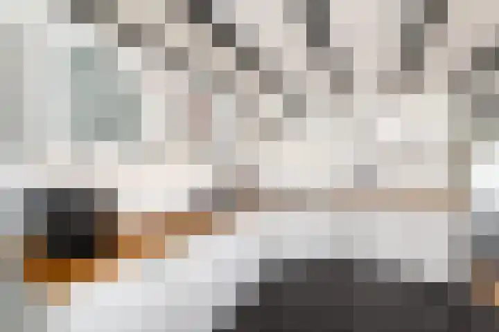 Markeweg 22 Blesdijke thumbnail 10