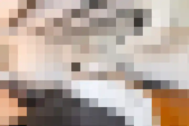 Markeweg 22 Blesdijke thumbnail 11