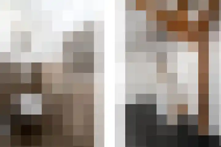 Markeweg 22 Blesdijke thumbnail 19