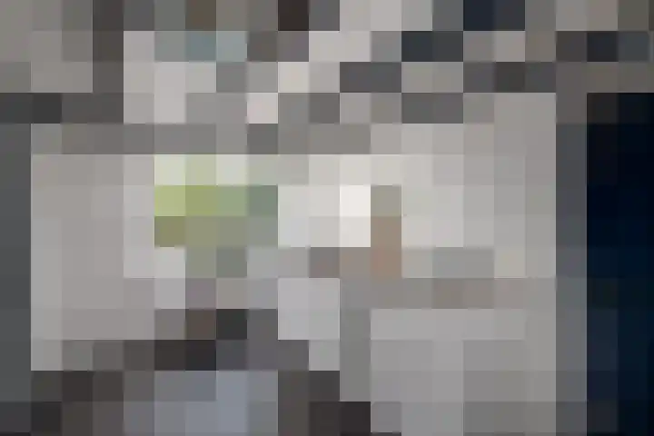 Markeweg 22 Blesdijke thumbnail 20
