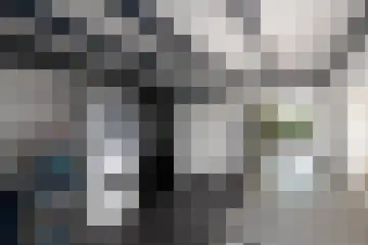 Markeweg 22 Blesdijke thumbnail 21