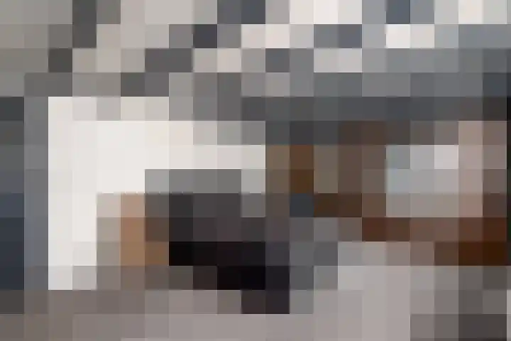 Markeweg 22 Blesdijke thumbnail 22