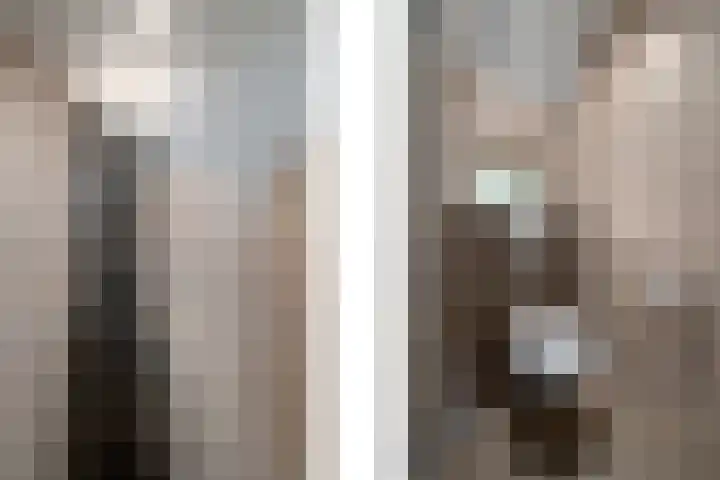Markeweg 22 Blesdijke thumbnail 28