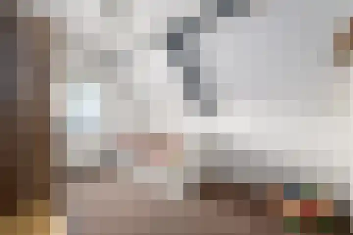 Markeweg 22 Blesdijke thumbnail 32
