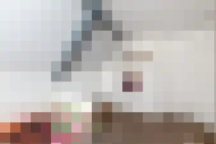 Markeweg 22 Blesdijke thumbnail 34