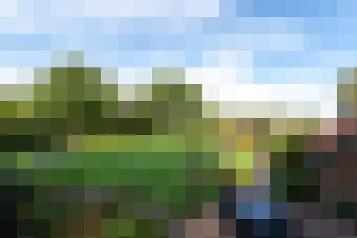 Markeweg 22 Blesdijke thumbnail 42