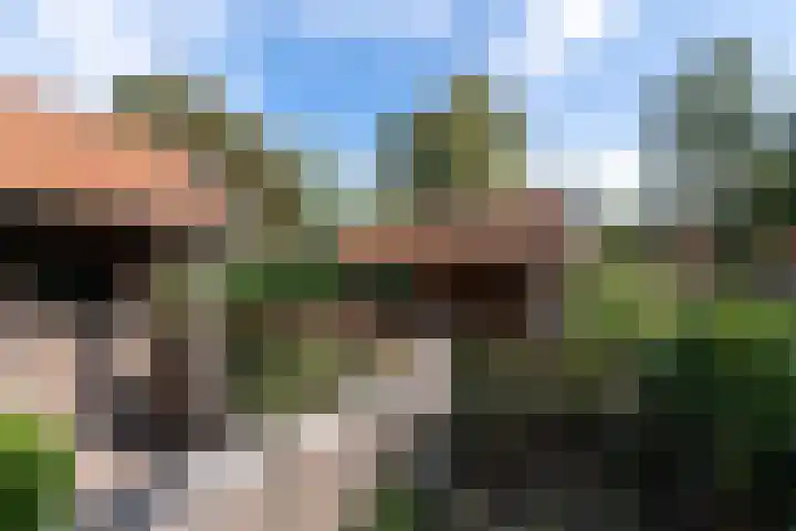 Markeweg 22 Blesdijke thumbnail 44
