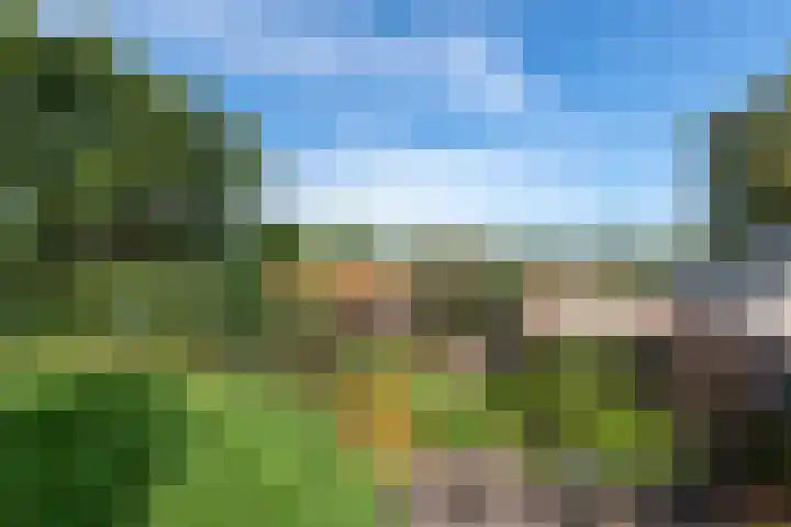 Markeweg 22 Blesdijke thumbnail 45