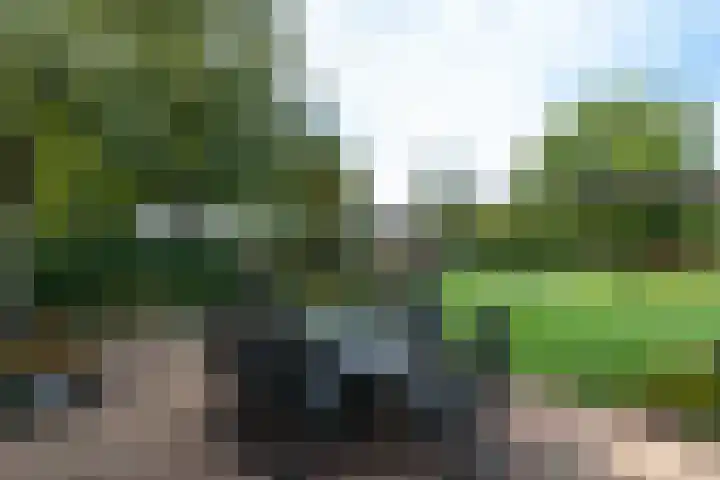 Markeweg 22 Blesdijke thumbnail 47