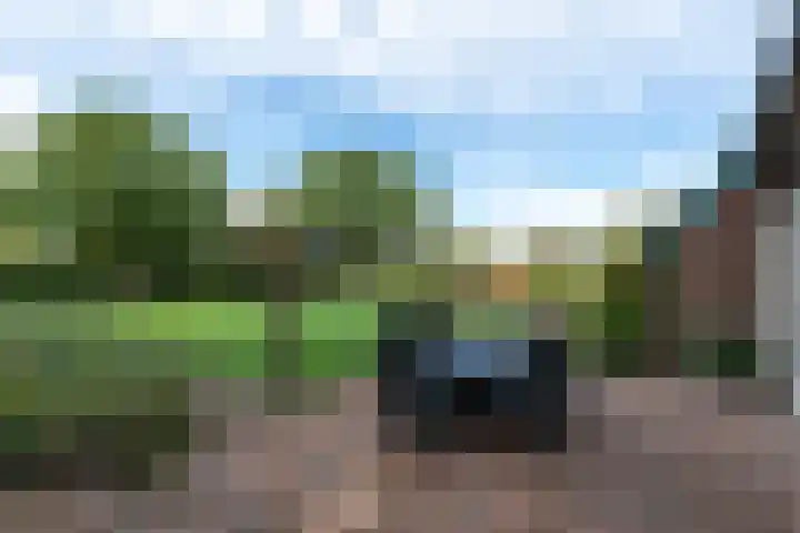 Markeweg 22 Blesdijke thumbnail 48