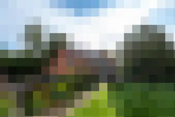 Markeweg 22 Blesdijke thumbnail 49