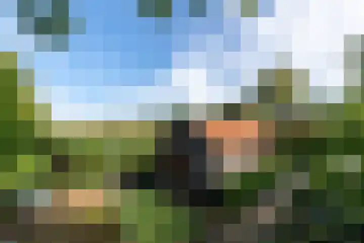Markeweg 22 Blesdijke thumbnail 50