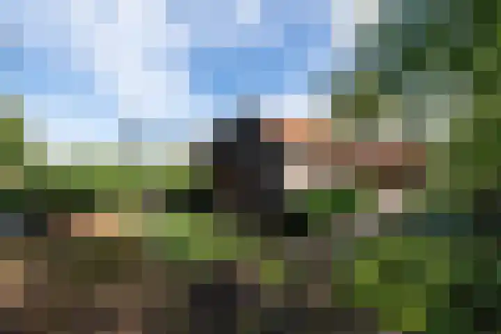 Markeweg 22 Blesdijke thumbnail 52
