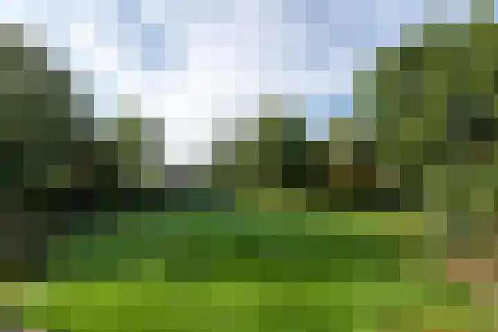 Markeweg 22 Blesdijke thumbnail 55