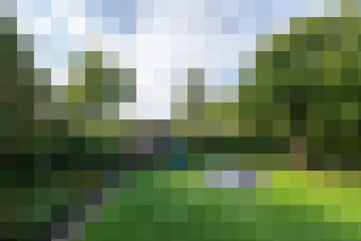 Markeweg 22 Blesdijke thumbnail 56