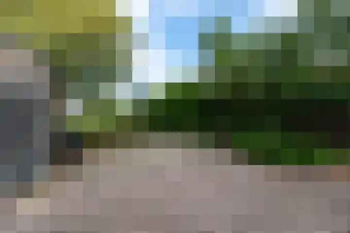 Markeweg 22 Blesdijke thumbnail 58
