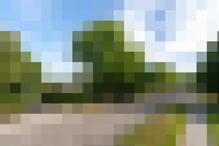 Markeweg 22 Blesdijke thumbnail 59