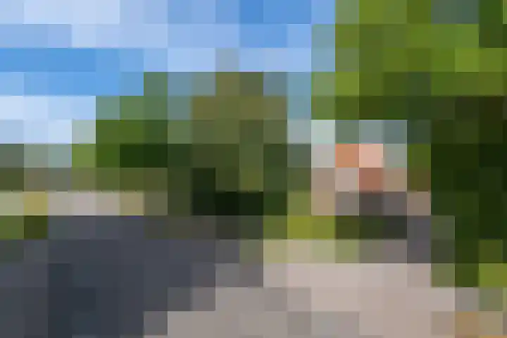 Markeweg 22 Blesdijke thumbnail 61