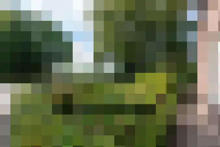 Markeweg 22 Blesdijke thumbnail 63