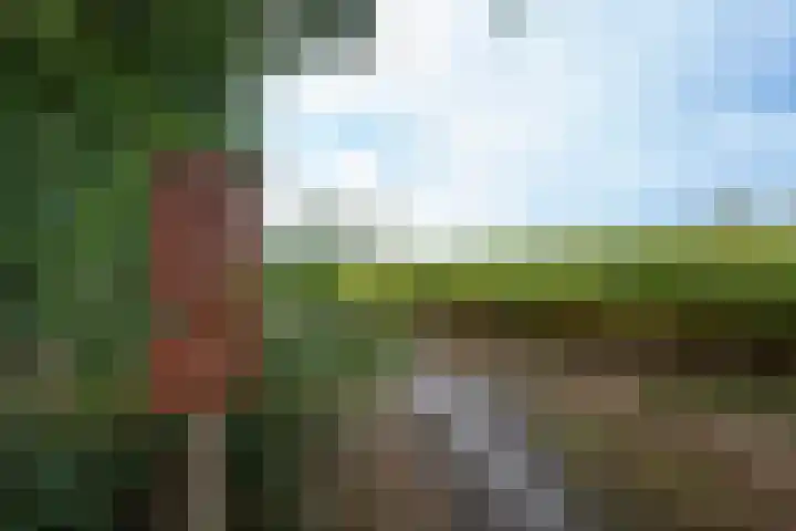 Markeweg 22 Blesdijke thumbnail 64
