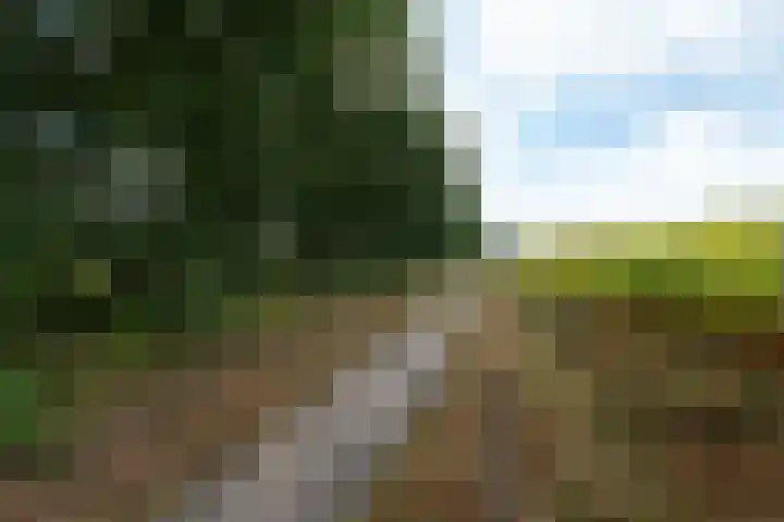 Markeweg 22 Blesdijke thumbnail 65