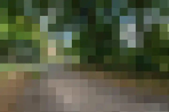 Markeweg 22 Blesdijke thumbnail 66