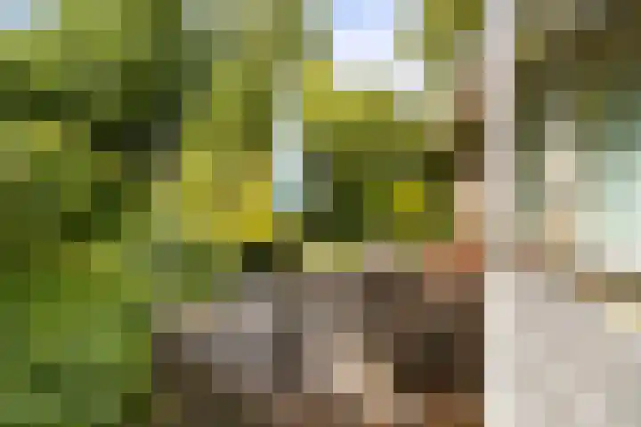 Markeweg 23 A Blesdijke thumbnail 10